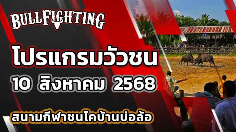 โปรแกรมวัวชน สนามกีฬาชนโคบ้านบ่อล้อ 10 สิงหาคม 2568 เว็บไซต์ : Bullfighting.bet