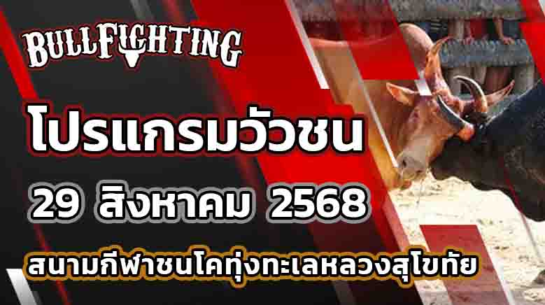 โปรแกรมวัวชน สนามกีฬาชนโคทุ่งทะเลหลวงสุโขทัย วันที่ 29 สิงหาคม 2568 เว็บไซต์ : Bullfighting.Bet