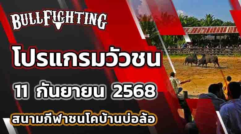 โปรแกรมวัวชน สนามกีฬาชนโคบ้านบ่อล้อ วันที่ 11 กันยายน 2568 เว็บไซต์ : Bullfighting.Bet