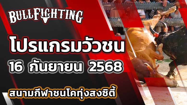โปรแกรมวัวชน สนามกีฬาชนโคทุ่งสงซิตี้ 16 กันยายน 2568 เว็บไซต์ : Bullfighting.bet
