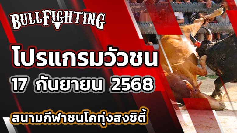 โปรแกรมวัวชน สนามกีฬาชนโคทุ่งสงซิตี้ 17 กันยายน 2568 เว็บไซต์ : Bullfighting.bet