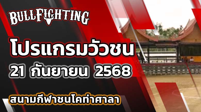 โปรแกรมวัวชน สนามกีฬาชนโคท่าศาลา 21 กันยายน 2568 เว็บไซต์ : Bullfighting.bet