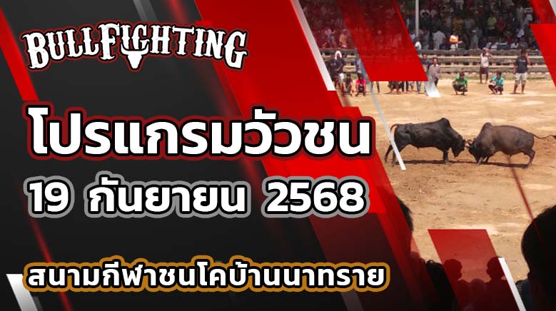 โปรแกรมวัวชน สนามกีฬาชนโคบ้านนาทราย 19 กันยายน 2568 เว็บไซต์ : Bullfighting.bet