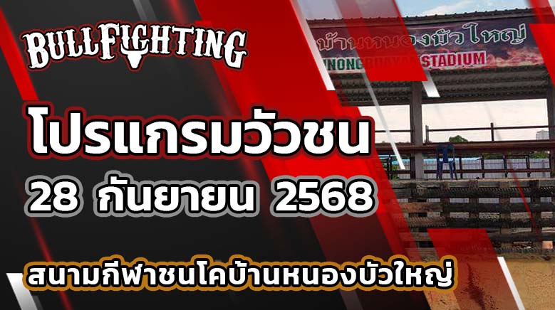 โปรแกรมวัวชน สนามกีฬาชนโคบ้านหนองบัวใหญ่ 28 กันยายน 2568 เว็บไซต์ : Bullfighting.bet