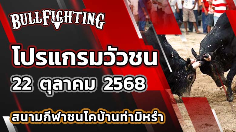 โปรแกรมวัวชน สนามกีฬาชนโคบ้านท่ามิหรำ 22 ตุลาคม 2568 เว็บไซต์ : Bullfighting.bet