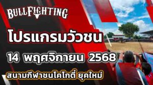 โปรแกรมวัวชน สนามกีฬาชนโคโกตี๋ ยุคใหม่ วันที่ 12 พฤศจิกายน 2568 เว็บไซต์ : Bullfighting.Bet
