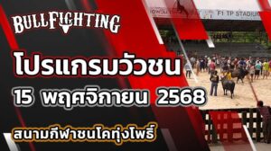 โปรแกรมวัวชน สนามกีฬาชนโคทุ่งโพธิ์ 15 พฤศจิกายน 2568 เว็บไซต์ : Bullfighting.bet