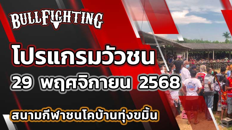 โปรแกรมวัวชน สนามกีฬาชนโคบ้านทุ่งขมิ้น (ยุคใหม่) 29 พฤศจิกายน 2568 เว็บไซต์ : Bullfighting.bet