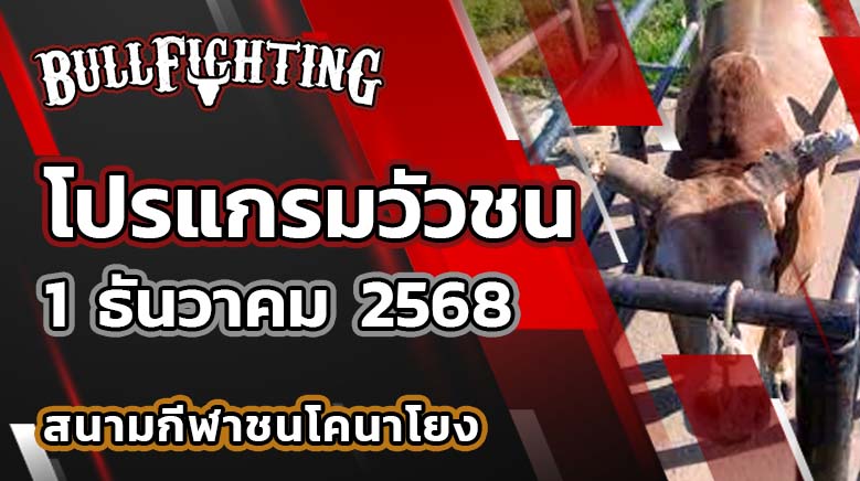 โปรแกรมวัวชน สนามกีฬาชนโคนาโยง 1 ธันวาคม 2568 เว็บไซต์ : Bullfighting.bet