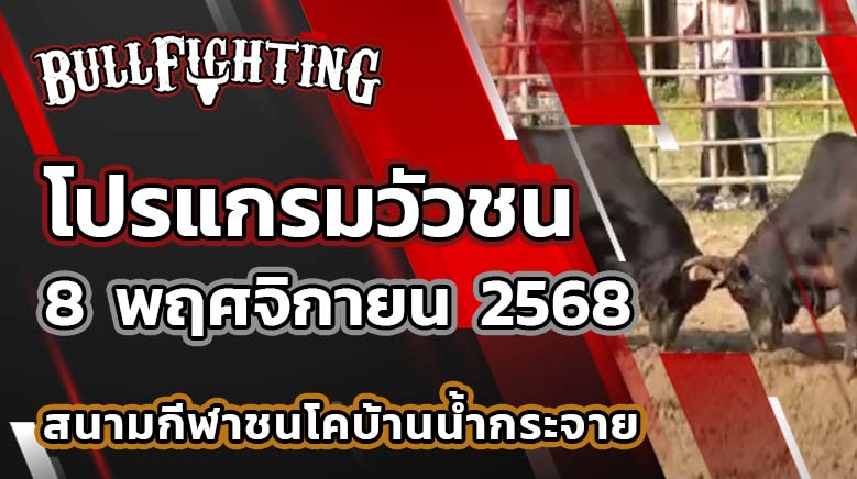 โปรแกรมวัวชน สนามกีฬาชนโคบ้านน้ำกระจาย 8 พฤศจิกายน 2568 เว็บไซต์ : Bullfighting.bet