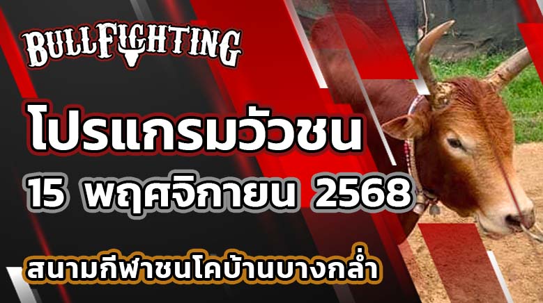 โปรแกรมวัวชน สนามกีฬาชนโคบ้านบางกล่ำ 15 พฤศจิกายน 2568 เว็บไซต์ : Bullfighting.bet