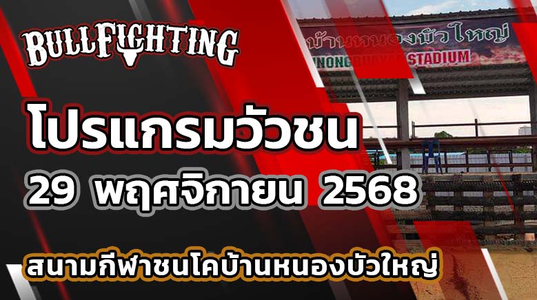 โปรแกรมวัวชน สนามกีฬาชนโคบ้านหนองบัวใหญ่ 29 พฤศจิกายน 2568 เว็บไซต์ : Bullfighting.bet