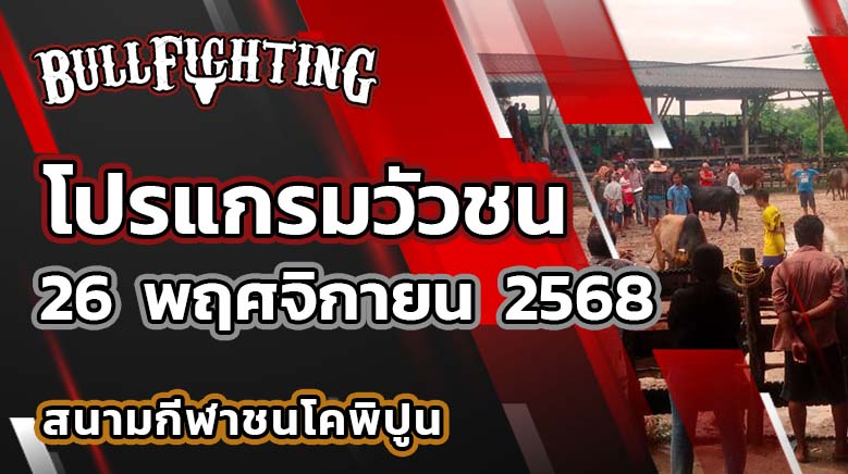 โปรแกรมวัวชน สนามกีฬาชนโคพิปูน 26 พฤศจิกายน 2568 เว็บไซต์ : Bullfighting.bet