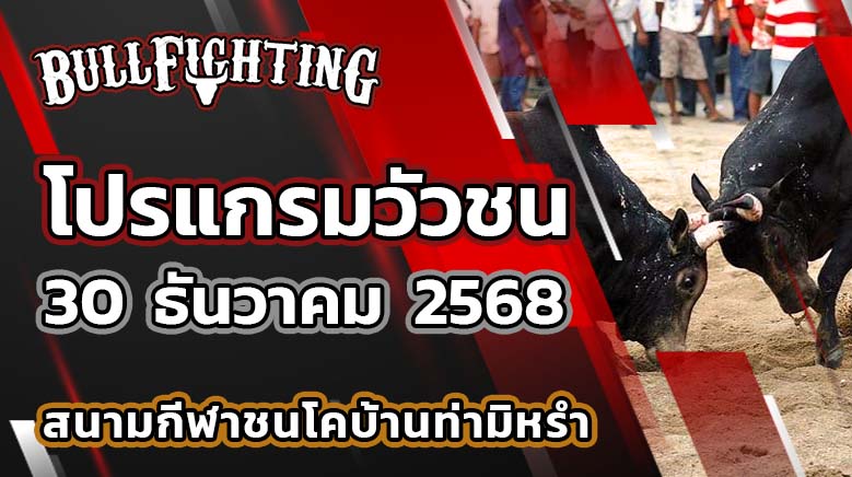โปรแกรมวัวชน สนามกีฬาชนโคบ้านท่ามิหรำ วันที่ 30 ธันวาคม 2568 เว็บไซต์ : Bullfighting.bet
