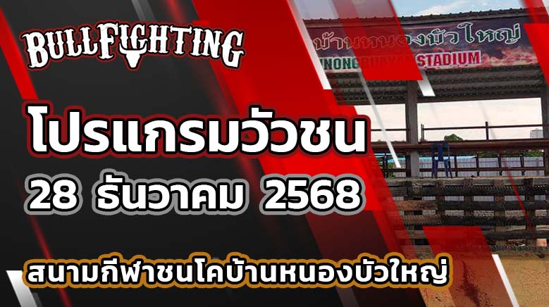โปรแกรมวัวชน สนามกีฬาชนโคบ้านหนองบัวใหญ่ วันที่ 28 ธันวาคม 2568 เว็บไซต์ : Bullfighting.bet