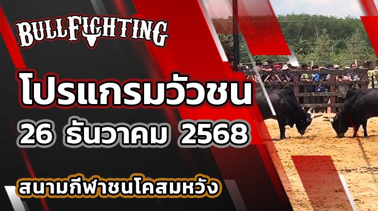 โปรแกรมวัวชน สนามกีฬาชนโคสมหวัง สเตเดี้ยม วันที่ 26 ธันวาคม 2568 เว็บไซต์ : Bullfighting.bet