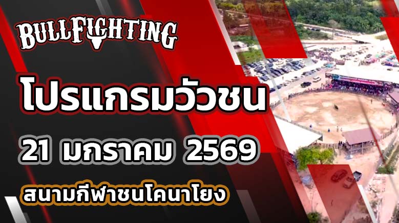 โปรแกรมวัวชน สนามกีฬาชนโคนาโยง วันที่ 21 ม.ค. 69 เว็บไซต์ : Bullfighting.Bet