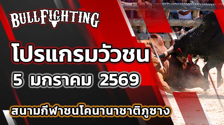 โปรแกรมวัวชน สนามกีฬาชนโคนานาชาติภูซาง วันที่ 5 มกราคม 2569 เว็บไซต์ : Bullfighting.bet