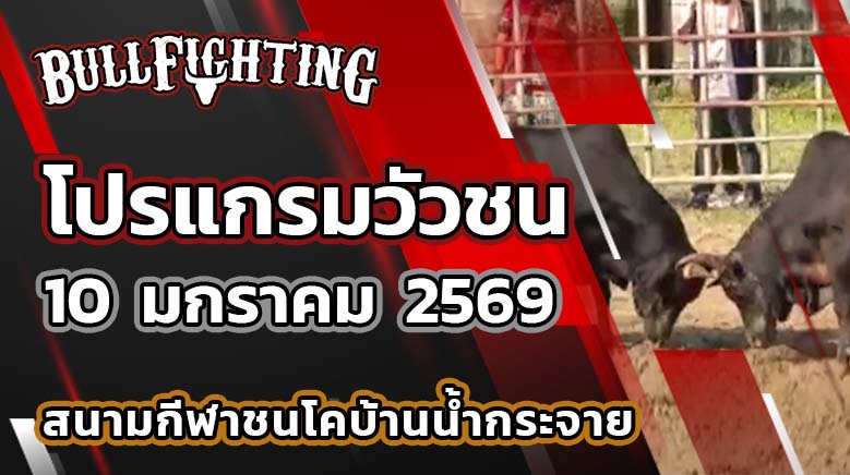 โปรแกรมวัวชน สนามกีฬาชนโคบ้านน้ำกระจาย วันที่ 10 มกราคม 2569 เว็บไซต์ : Bullfighting.bet