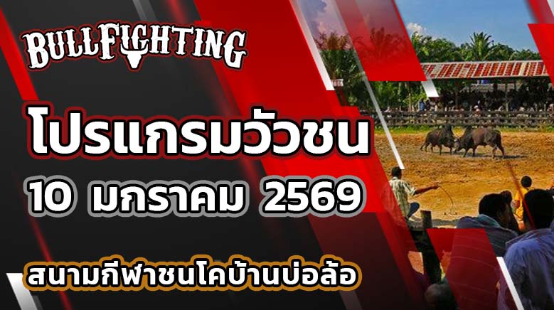 โปรแกรมวัวชน สนามกีฬาชนโคบ้านบ่อล้อ วันที่ 10 มกราคม 2569 เว็บไซต์ : Bullfighting.bet