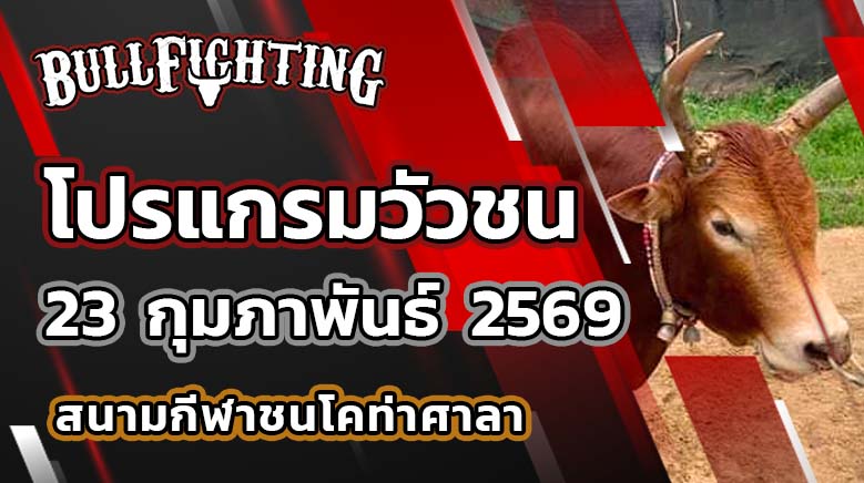 โปรแกรมวัวชน สนามกีฬาชนโคสนามกีฬาชนโคท่าศาลา วันที่ 23 กุมภาพันธ์ 2569 เว็บไซต์ : Bullfighting.Bet
