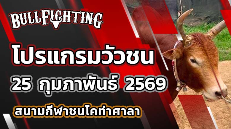 โปรแกรมวัวชน สนามกีฬาชนโคท่าศาลา วันที่ 25 กุมภาพันธ์ 2569 เว็บไซต์ : Bullfighting.Bet