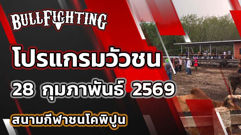 โปรแกรมวัวชน สนามกีฬาชนโคพิปูน วันที่ 28 กุมภาพันธ์ 2569 เว็บไซต์ : Bullfighting.Bet