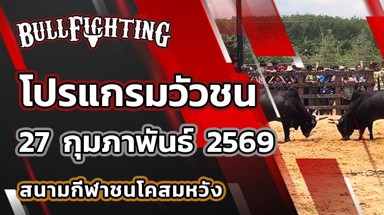 โปรแกรมวัวชน สนามกีฬาชนโคสมหวัง วันที่ 27 กุมภาพันธ์ 2569 เว็บไซต์ : Bullfighting.Bet