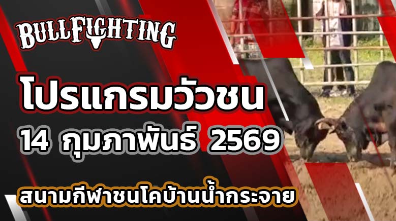 โปรแกรมวัวชน สนามกีฬาชนโคบ้านน้ำกระจาย วันที่ 14 กุมภาพันธ์ 2569 เว็บไซต์ : Bullfighting.bet
