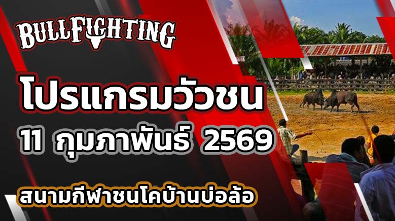 โปรแกรมวัวชน สนามกีฬาชนโคบ้านบ่อล้อ วันที่ 11 กุมภาพันธ์ 2569 เว็บไซต์ : Bullfighting.bet