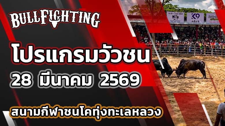 โปรแกรมวัวชน สนามกีฬาชนโคทุ่งทะเลหลวง วันที่ 28 มีนาคม 2569 เว็บไซต์ : Bullfighting.bet