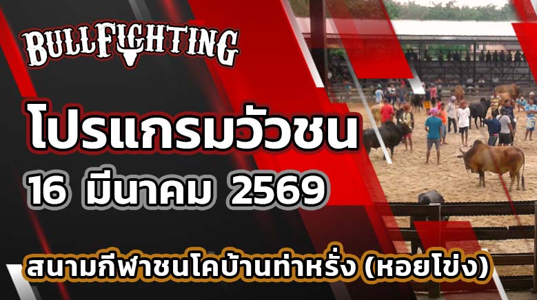โปรแกรมวัวชน สนามกีฬาชนโคบ้านท่าหรั่ง (หอยโข่ง) วันที่ 16 มีนาคม 2569 เว็บไซต์ : Bullfighting.bet