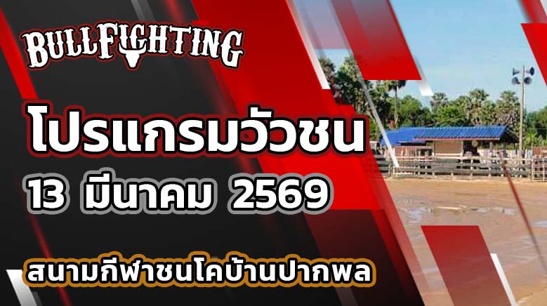 โปรแกรมวัวชน สนามกีฬาชนโคบ้านปากพล วันที่ 13 มีนาคม 2569 เว็บไซต์ : Bullfighting.bet