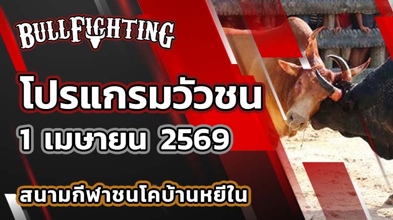 โปรแกรมวัวชน สนามกีฬาชนโคบ้านหยีใน วันที่ 1 เมษายน 2569 เว็บไซต์ : Bullfighting.bet