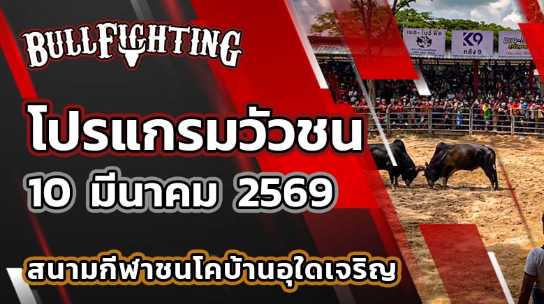 โปรแกรมวัวชน สนามกีฬาชนโคบ้านอุใดเจริญ วันที่ 10 มีนาคม 2569 เว็บไซต์ : Bullfighting.bet