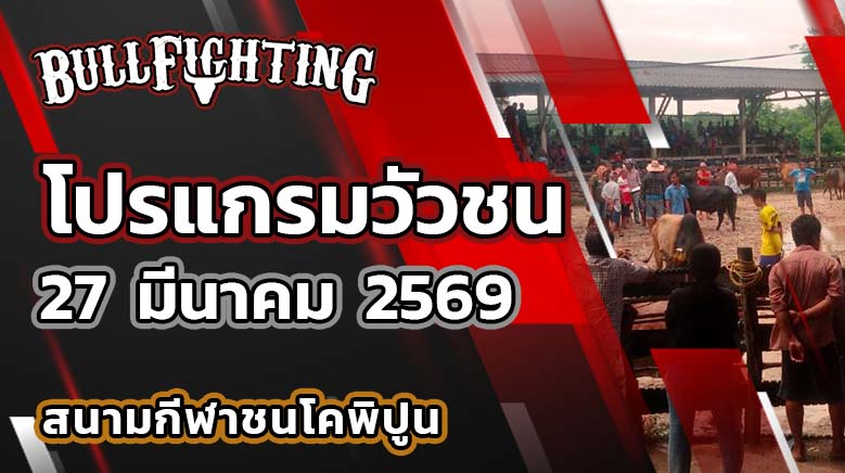 โปรแกรมวัวชน สนามกีฬาชนโคพิปูน วันที่ 27 มีนาคม 2569 เว็บไซต์ : Bullfighting.bet