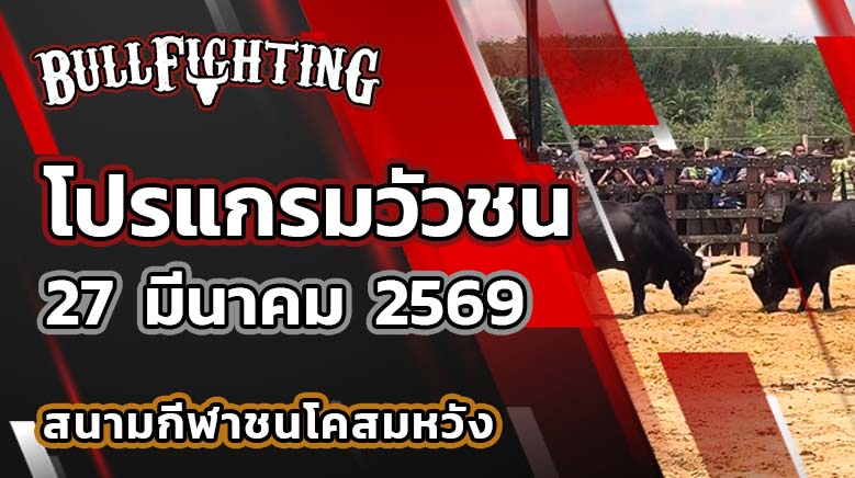 โปรแกรมวัวชน สนามกีฬาชนโคสมหวัง วันที่ 27 มีนาคม 2569 เว็บไซต์ : Bullfighting.bet