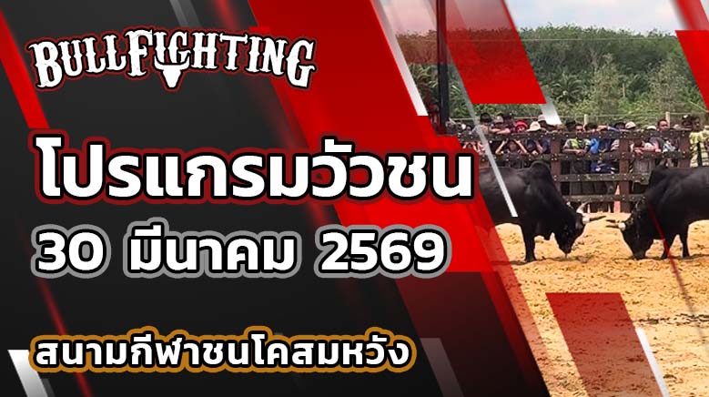 โปรแกรมวัวชน สนามกีฬาชนโคสมหวังสเตเดี้ยม วันที่ 30 มีนาคม 2569 เว็บไซต์ : Bullfighting.bet