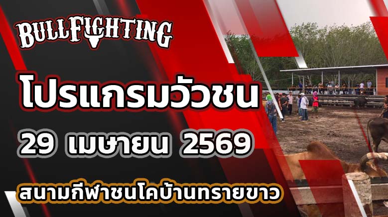โปรแกรมวัวชน สนามกีฬาชนโคบ้านทรายขาว วันที่ 29 เมษายน 2569 เว็บไซต์ : Bullfighting.Bet