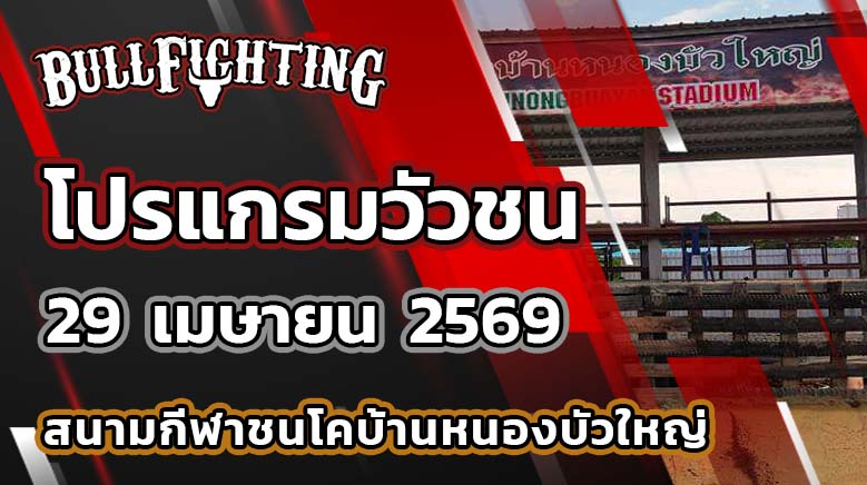 โปรแกรมวัวชน สนามกีฬาชนโคบ้านหนองบัวใหญ่ วันที่ 29 เมษายน 2569 เว็บไซต์ : Bullfighting.Bet
