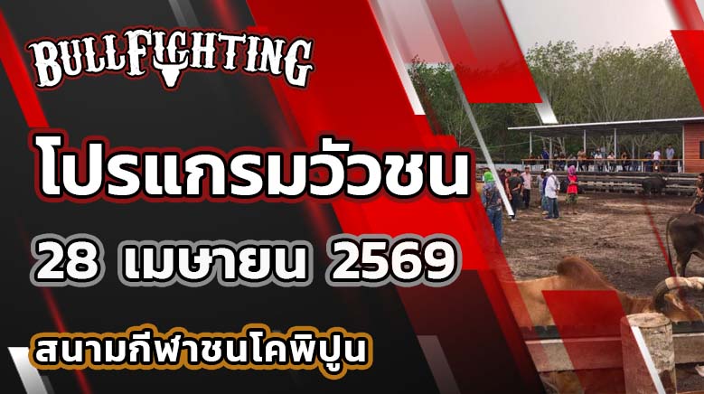 โปรแกรมวัวชน สนามกีฬาชนโคพิปูน วันที่ 28 เมษายน 2569 เว็บไซต์ : Bullfighting.Bet