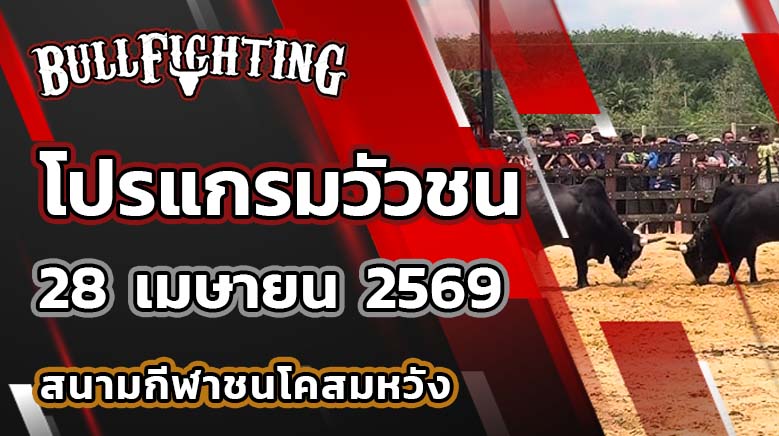 โปรแกรมวัวชน สนามกีฬาชนโคสมหวัง วันที่ 28 เมษายน 2569 เว็บไซต์ : Bullfighting.Bet