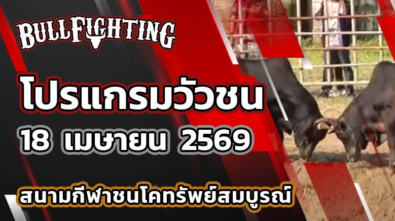 โปรแกรมวัวชน สนามกีฬาชนโคทรัพย์สมบูรณ์ วันที่ 18 เมษายน 2569 เว็บไซต์ : Bullfighting.bet