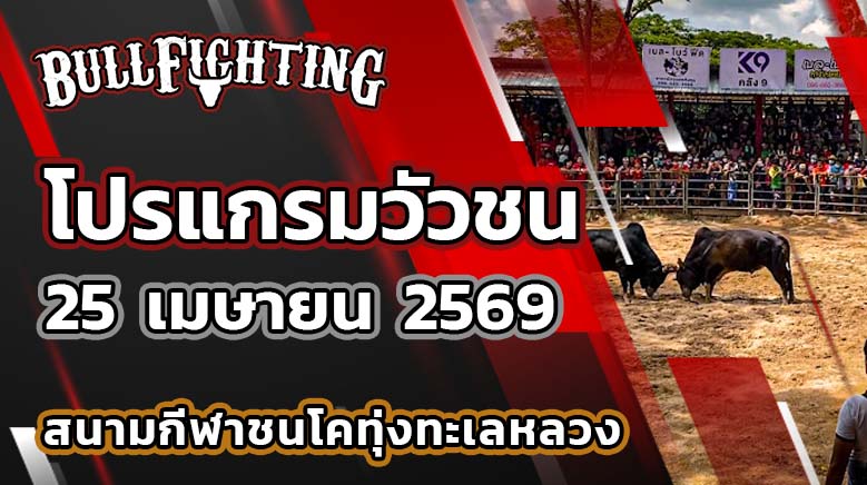 โปรแกรมวัวชน สนามกีฬาชนโคทุ่งทะเลหลวงสุโขทัย วันที่ 25 เมษายน 2569 เว็บไซต์ : Bullfighting.bet