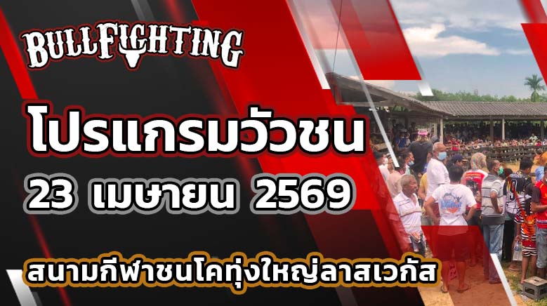 โปรแกรมวัวชน สนามกีฬาชนโคทุ่งใหญ่ลาสเวกัส วันที่ 23 เมษายน 2569 เว็บไซต์ : Bullfighting.bet