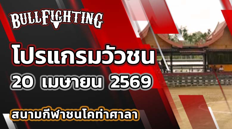 โปรแกรมวัวชน สนามกีฬาชนโคท่าศาลา วันที่ 20 เมษายน 2569 เว็บไซต์ : Bullfighting.bet