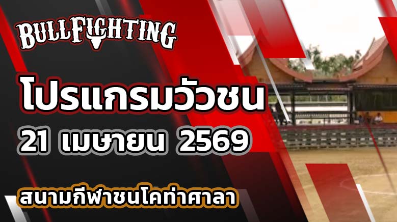 โปรแกรมวัวชน สนามกีฬาชนโคท่าศาลา วันที่ 21 เมษายน 2569 เว็บไซต์ : Bullfighting.bet