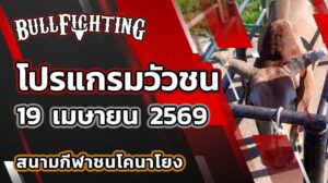 โปรแกรมวัวชน สนามกีฬาชนโคนาโยง วันที่ 19 เมษายน 2569 เว็บไซต์ : Bullfighting.bet