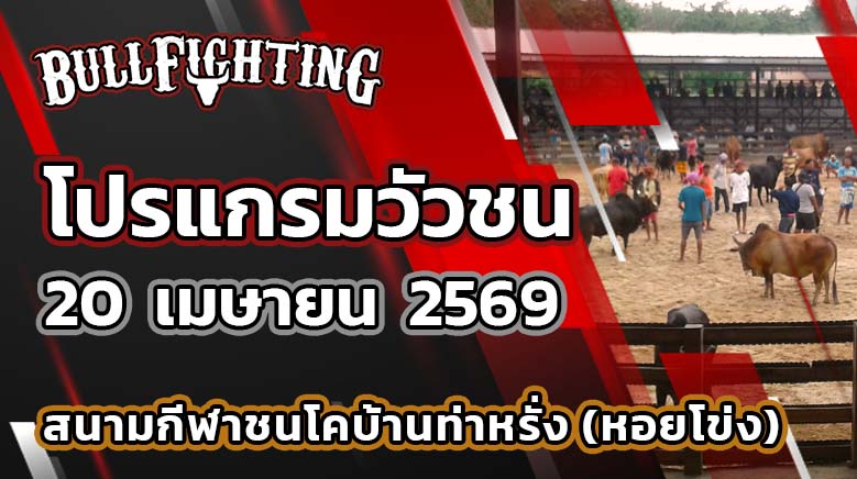โปรแกรมวัวชน สนามกีฬาชนโคบ้านท่าหรั่ง (หอยโข่ง) วันที่ 20 เมษายน 2569 เว็บไซต์ : Bullfighting.bet