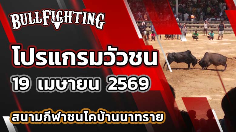 โปรแกรมวัวชน สนามกีฬาชนโคบ้านนาทราย วันที่ 19 เมษายน 2569 เว็บไซต์ : Bullfighting.bet